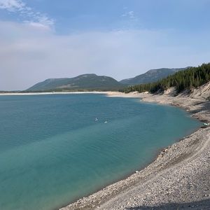 Meet your Posher, Lily